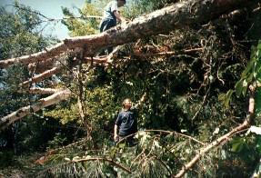 1995 Big Blow - Ray Sr. & Raymond with chainsaws