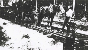 1915-Horse-pulling-engine-L