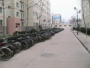 Bicycles-L